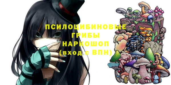 ПСИЛОЦИБИНОВЫЕ ГРИБЫ Абаза