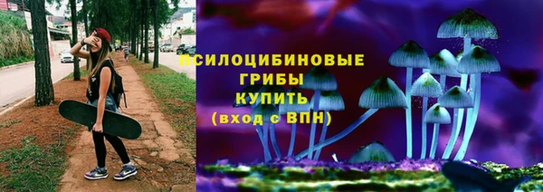 амф Абинск