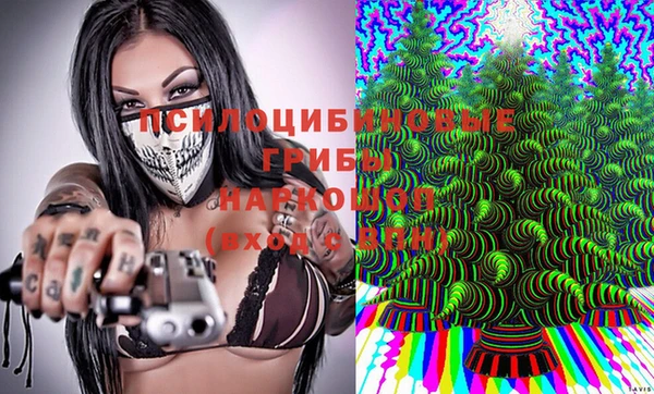 амф Абинск