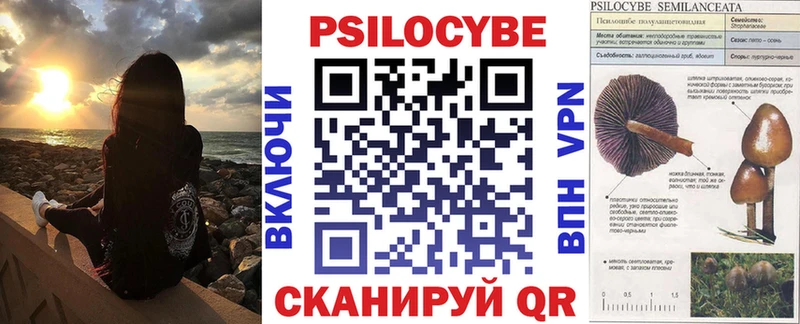 kraken сайт  купить наркотик  Россошь  Галлюциногенные грибы Psilocybine cubensis 